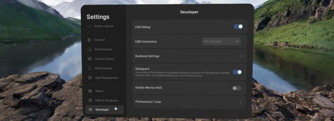 Registerkarte USB-Debugging Pico 4 Ultra Enterprise