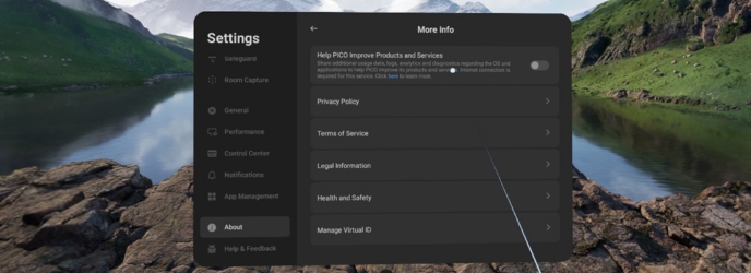 Registerkarte Persönliche Daten Pico 4 Ultra Enterprise