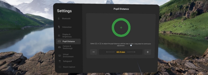 Registerkarte IPD pico 4 ultra Enterprise
